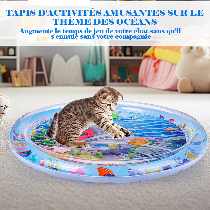 Tapis sensoriel d'eau pour animaux de compagnie