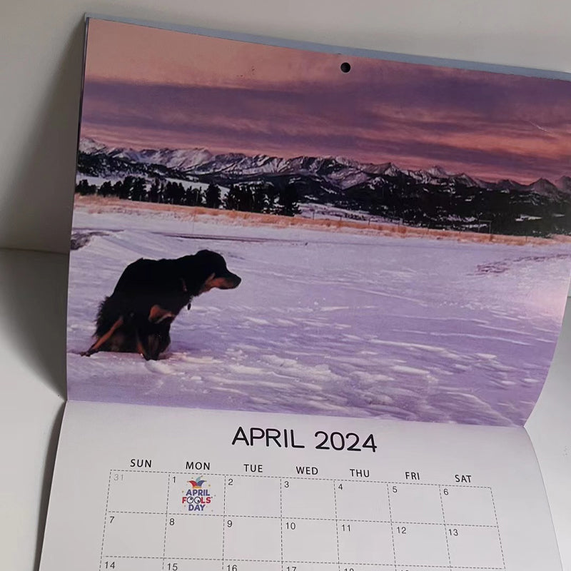 Calendrier 2024 des chiens faisant caca dans de beaux endroits