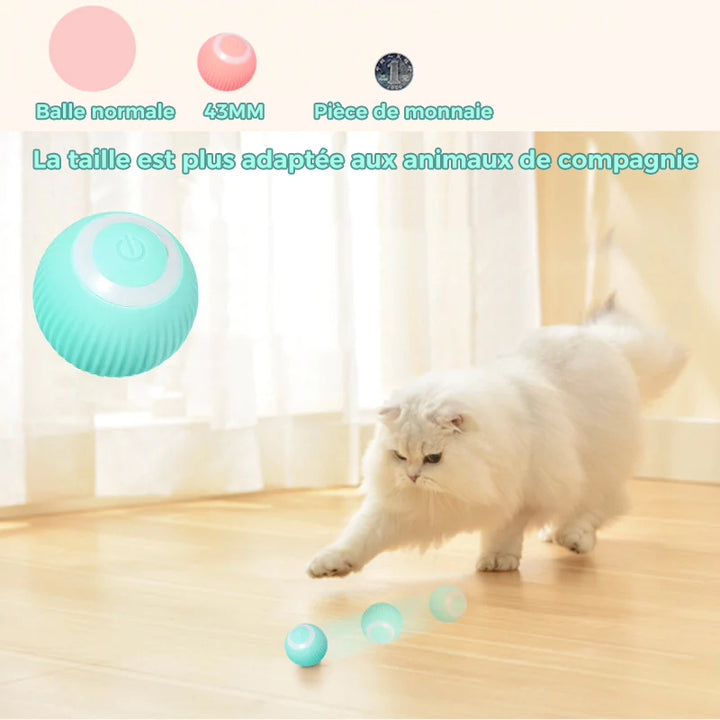 Jouets de balle interactifs Smart Cat