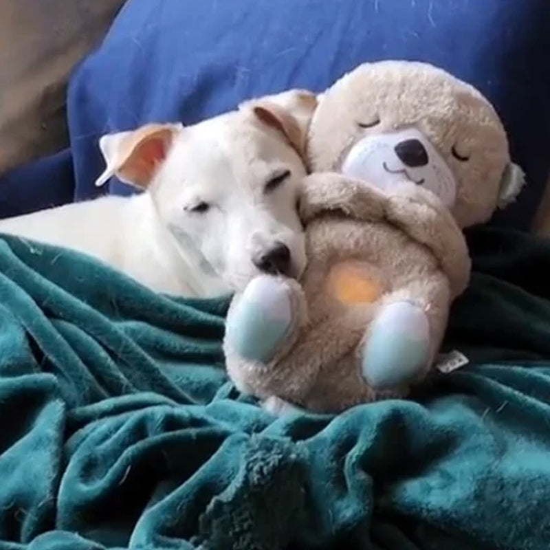 Peluche loutre apaisante